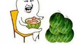 吃瓜娱乐圈花盆,揭秘明星们的“秘密花园”