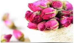 娱乐吃瓜酱带刺的玫瑰,揭秘带刺玫瑰背后的故事